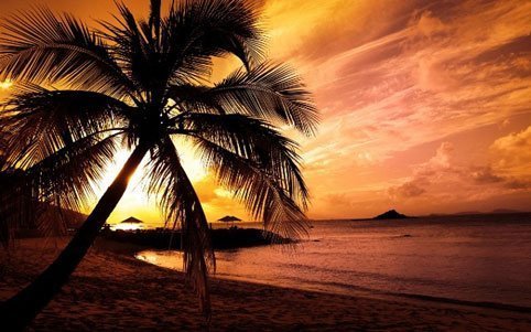 phu quoc
